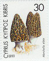 2-4）　キプロス共和国　1999　CYPRUS