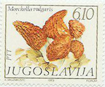 2-1)ユーゴスラビア　1983