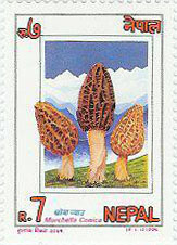 2-2)ネパール NEPAL 1994
