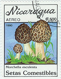 4-4)Nicargua