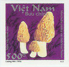 2-6) ベトナム　Vietnam　1996